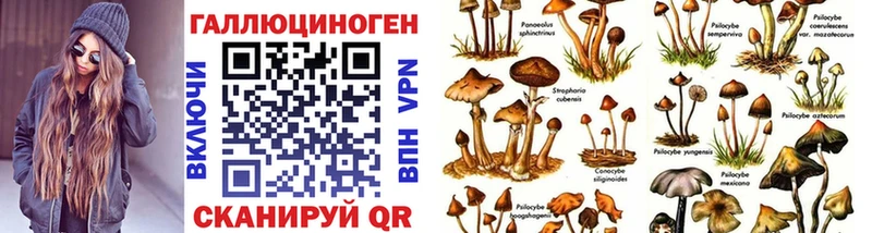 цена   Нытва  Галлюциногенные грибы Magic Shrooms 